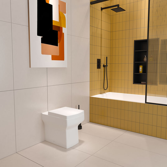 Biubiubath - btw Toilet Back To Wall Ceramic Pan Cloakroom Soft Close Seat Bathroom wc Modern