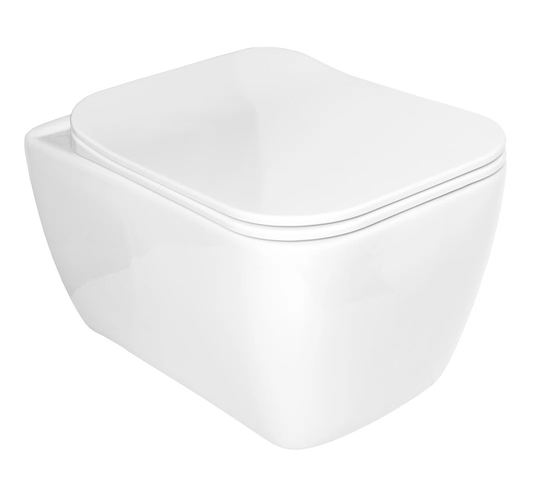 Schumaker Wall Hung Toilet and Mounting Frame with Button Flush and Soft Close Seat