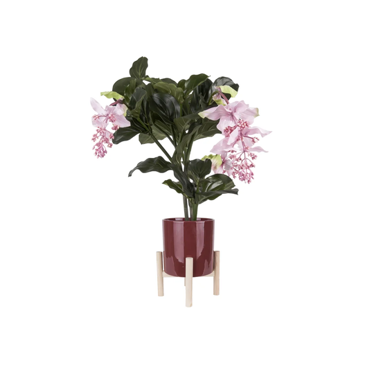 Kaci Ceramic Cachepot