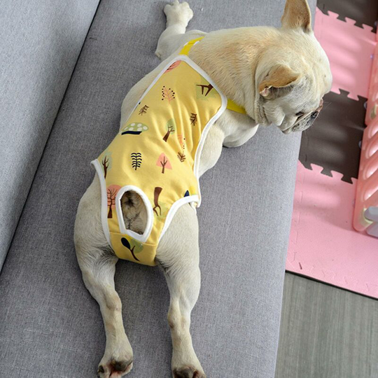Sunflowergb - Pet Sanitary Pants Adjustable Band Menstruation Shorts Washable Dog Diaper Indoor Pet Physiological Pants (m)