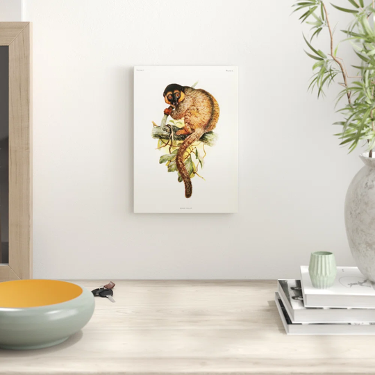 'Vintage Joseph Wolf Common Brown Lemur' Graphic Art