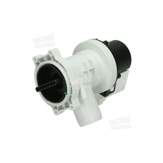 Pump(50 hz-leili alva) 32023775 - Genuine