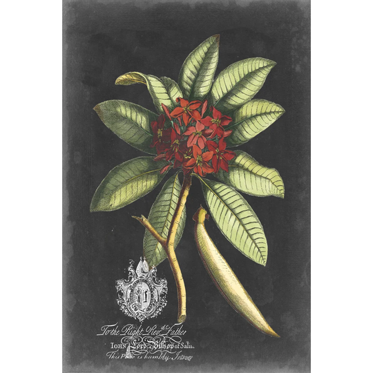 Royal Foliage III by Vision Studio - Wrapped Canvas Painting