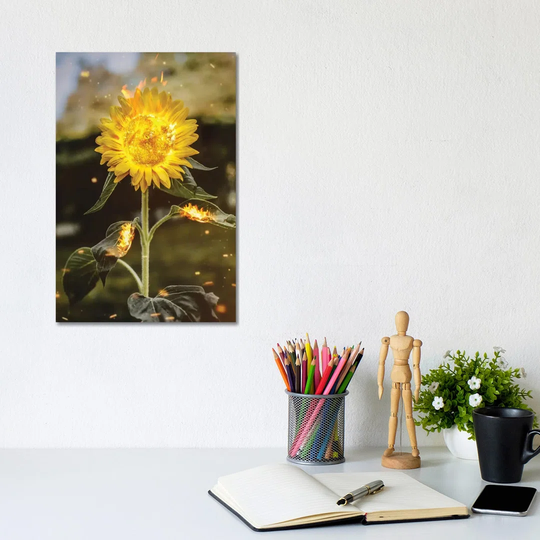 Real Sunflower - Print on Canvas