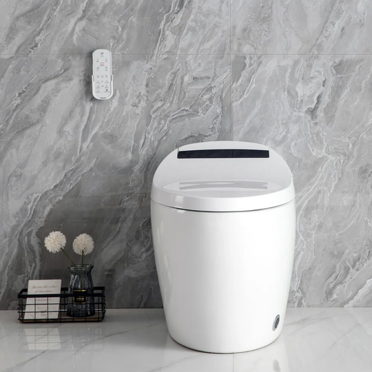 Abdulqadir Smart Intelligent Bidet Toilet