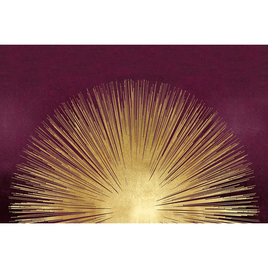 Sunburst Rising on Photograph Burgundy by Abby Young - Wrapped Canvas Art Prints