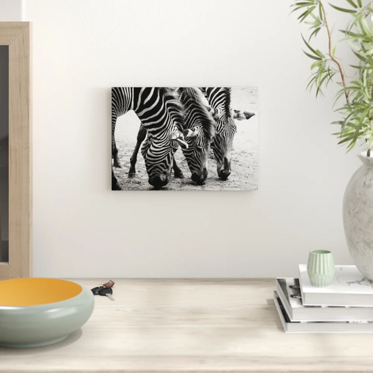 'Zebras' Photographic Print