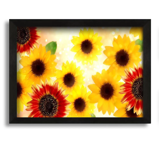 Sunflower Faces - Picture Frame Photograph on Canvas