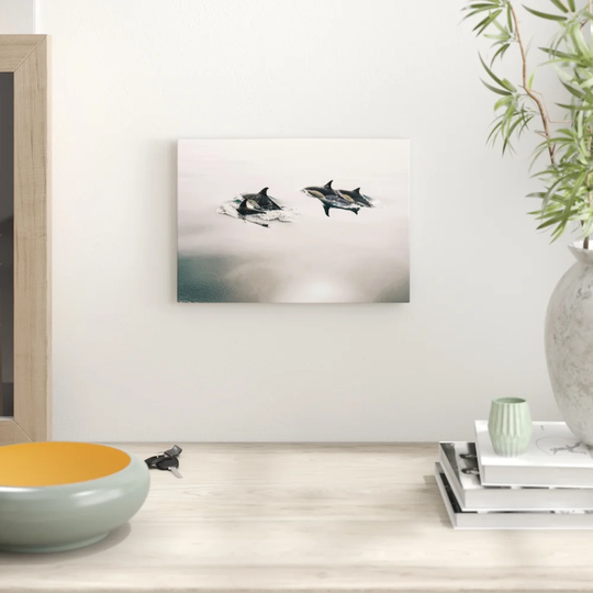 'Swimming Dolphins' Photographic Print