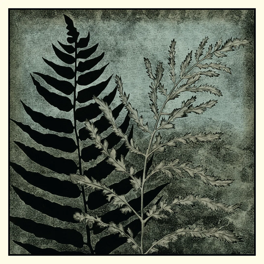 Illuminated Ferns III by Megan Meagher - Wrapped Canvas Painting