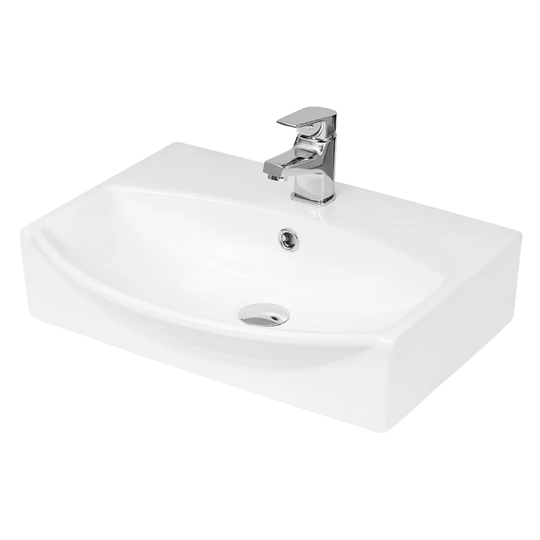 Countertop and Wall Hung Basin