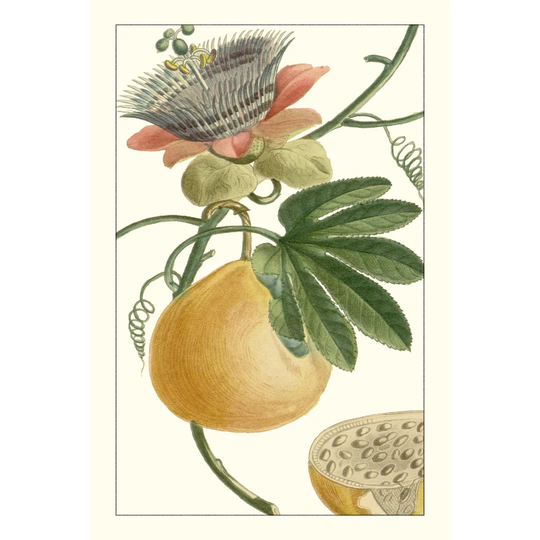 Exotic Botanical III by Turpin - Wrapped Canvas Painting