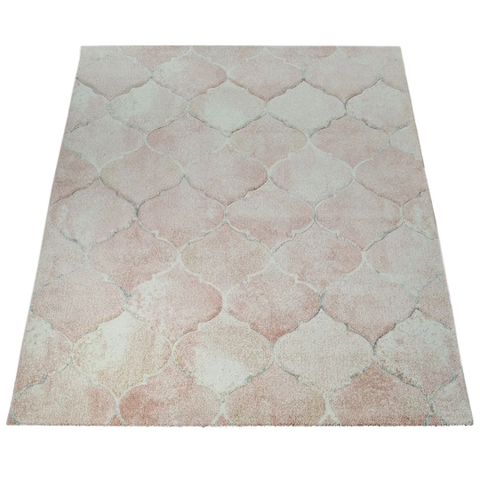 Delafuente Shag Pink Rug