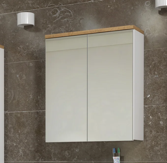 Carlos 60 cm x 70 cm Surface Mount Mirror Cabinet