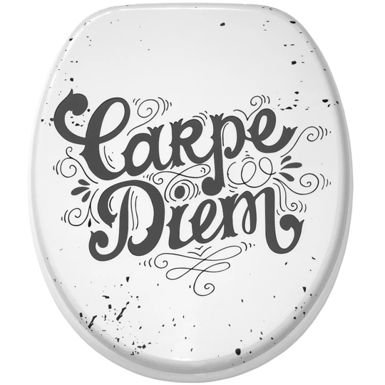 Carpe Diem Soft Close Elongated Toilet Seat