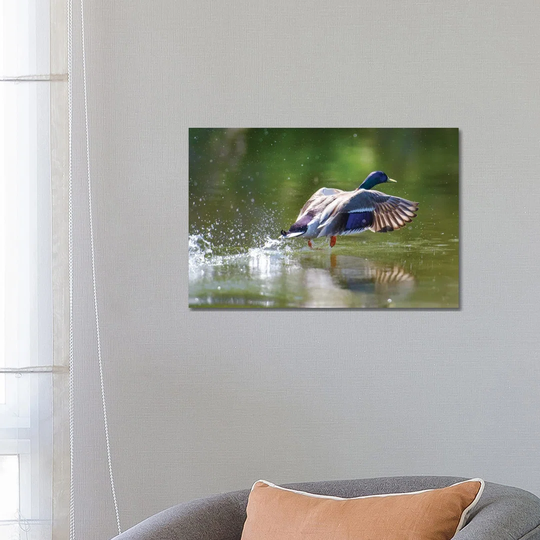 Lift off by David Gardiner - Photograph on Canvas