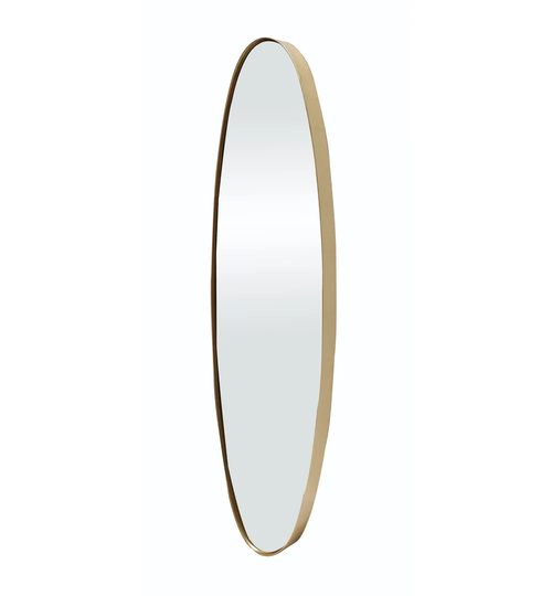 Soule Oval Metal Framed Wall Mounted Accent Mirror in Glod