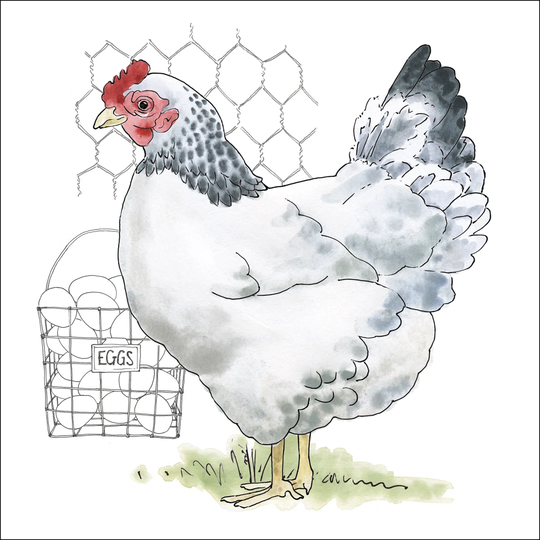 Fun at the Coop IV by Beth Grove - Wrapped Canvas Painting Print