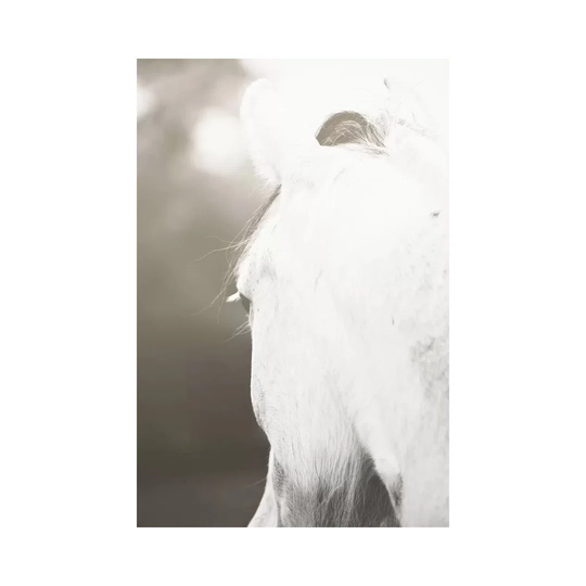 Pearl by Ann Hudec - Wrapped Canvas Graphic Art