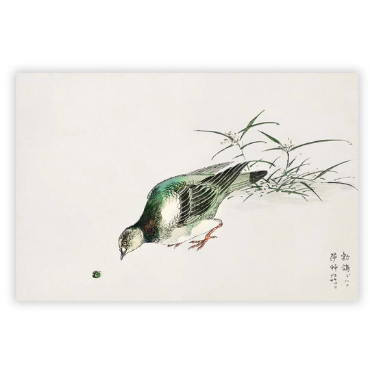 'Eastern Turtle Dove' by Numata Kashu - Unframed Painting Print on Paper