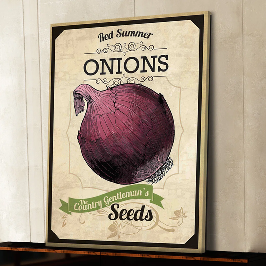 Seed Packet Onion - Wrapped Canvas Advertisement Print