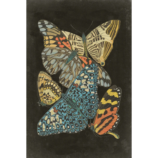 Winged Patterns II by Eugene Seguy - Wrapped Canvas Painting