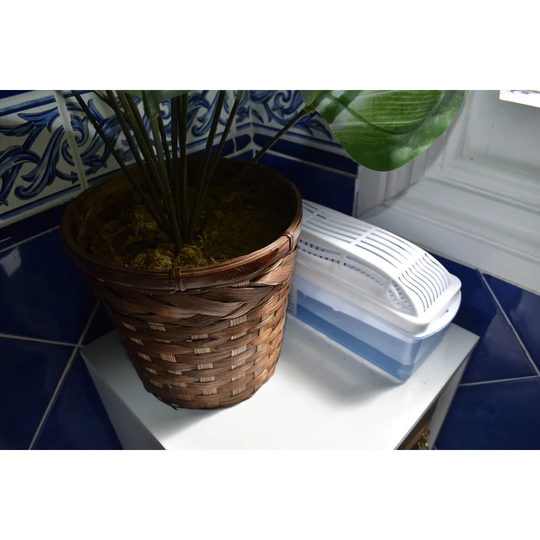 Streamline Scent Free Dehumidifier
