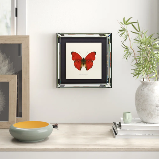 'Cymothoe Sangaris' Framed Graphic Art Print on Glass