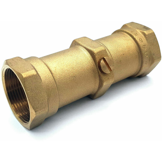 1.1/2 fbsp Floguard Double Check Valve