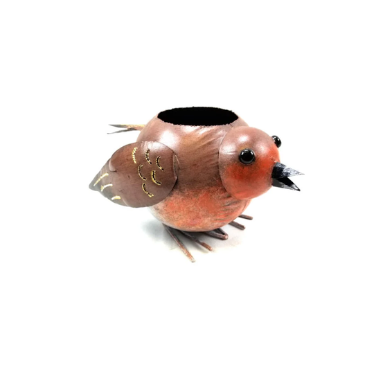 Jamir Robin Plant Pot