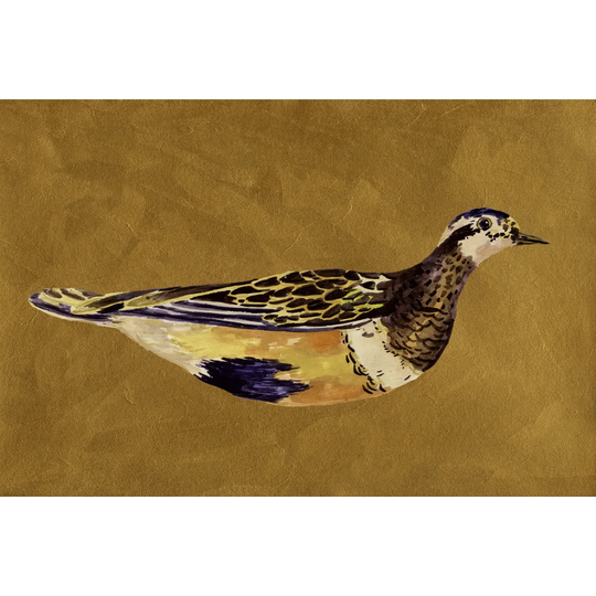 Feathered Friend II by Melissa Wang - Wrapped Canvas Painting