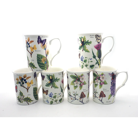 Woodland Studies Set / 6 Fine Bone China Mugs