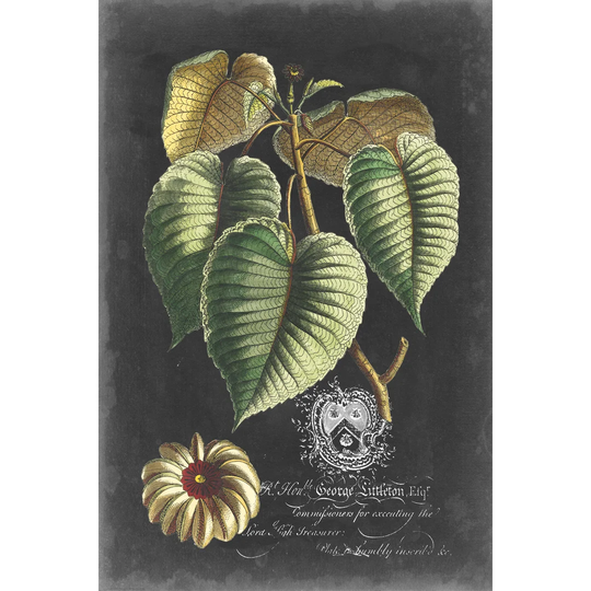 Royal Foliage I by Vision Studio - Wrapped Canvas Painting