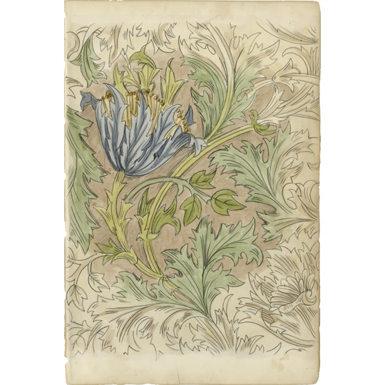 Floral Pattern Study III - Wrapped Canvas Graphic Art
