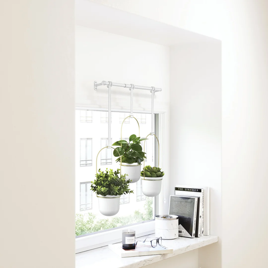 Ardella Hanging Basket