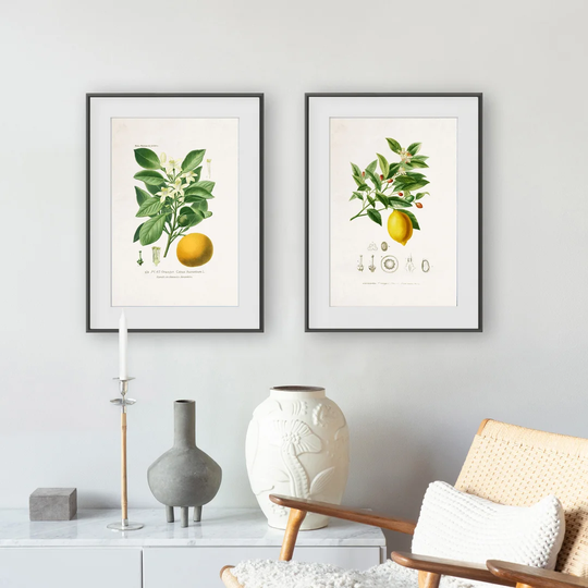 Vintage Botanic Diptych - 2 Piece Picture Frame Graphic Art Print Set on Paper