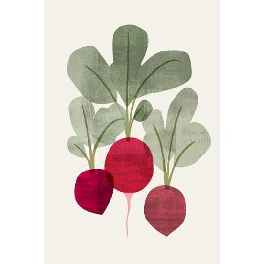 Organic Veg I by - Wrapped Canvas Art Prints