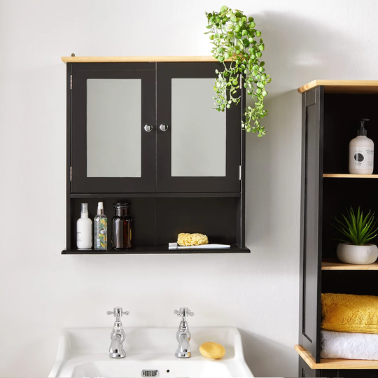 Elmina 56cm x 58cm Surface Mount Mirror Cabinet