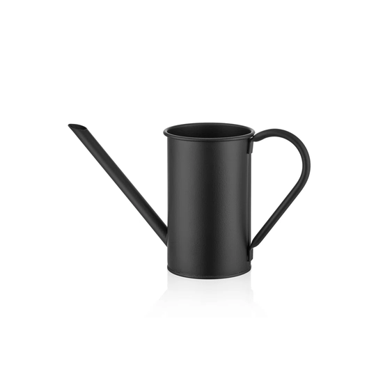 August Grove Nicholle Watering Can