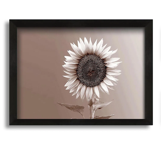 Sunflower Chocolate - Picture Frame Graphic Art on Canvas