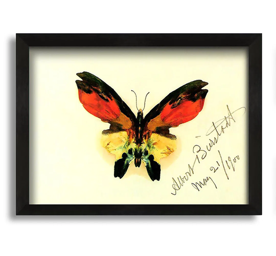 Butterfly 2 by Albert Bierstadt - Picture Frame Painting on Canvas