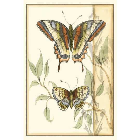 Tandem Butterflies II - Wrapped Canvas Art Prints