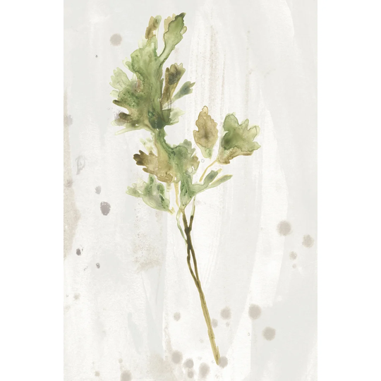 Antique Earthtone Herbs I by June Erica Vess - Wrapped Canvas Painting