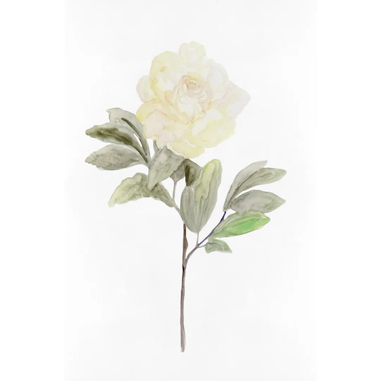 White Blossom V - Wrapped Canvas Painting