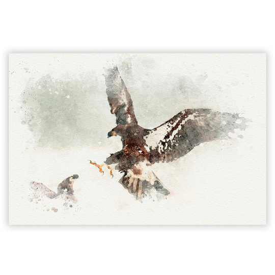'Eagle Attack' - Unframed Graphic Art Print on Paper