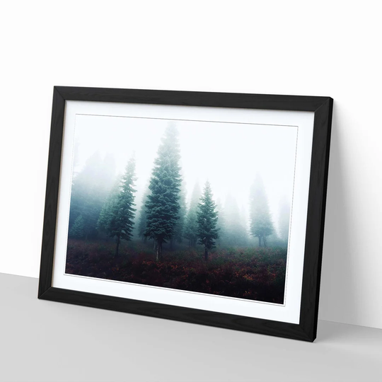 'Landscape Fir Tree Forest 2' Framed Photographic Print