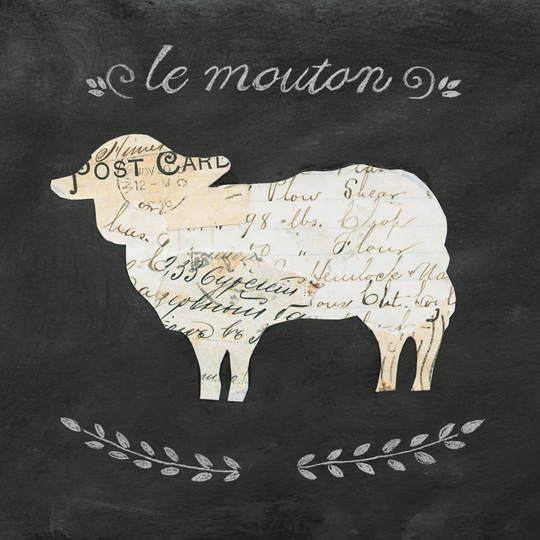 Le Mouton Cameo Sq by Courtney Prahl - Wrapped Canvas Typography