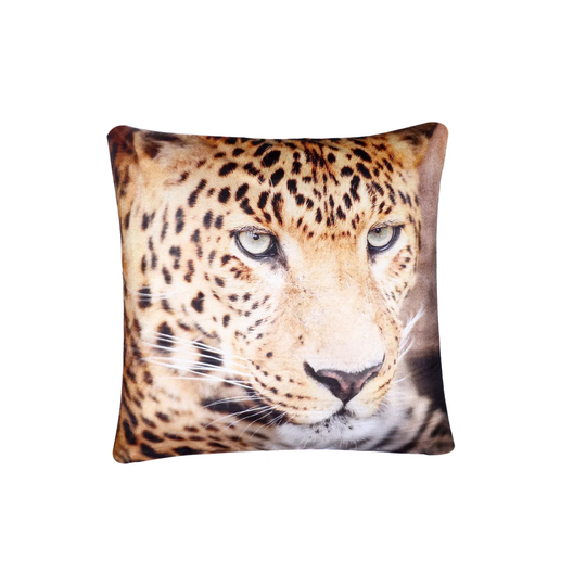 Maliah Velvet Cushion Cover