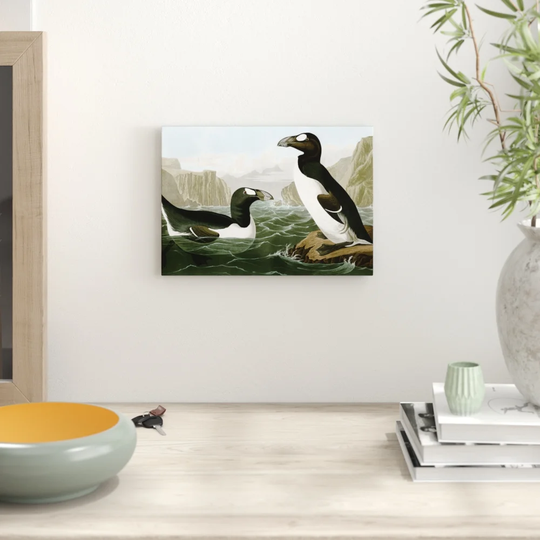'Penguins' by John James Audubon Graphic art