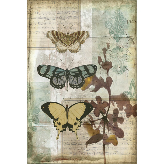 Music Box Butterflies I by Jennifer Goldberger - Wrapped Canvas Art Prints